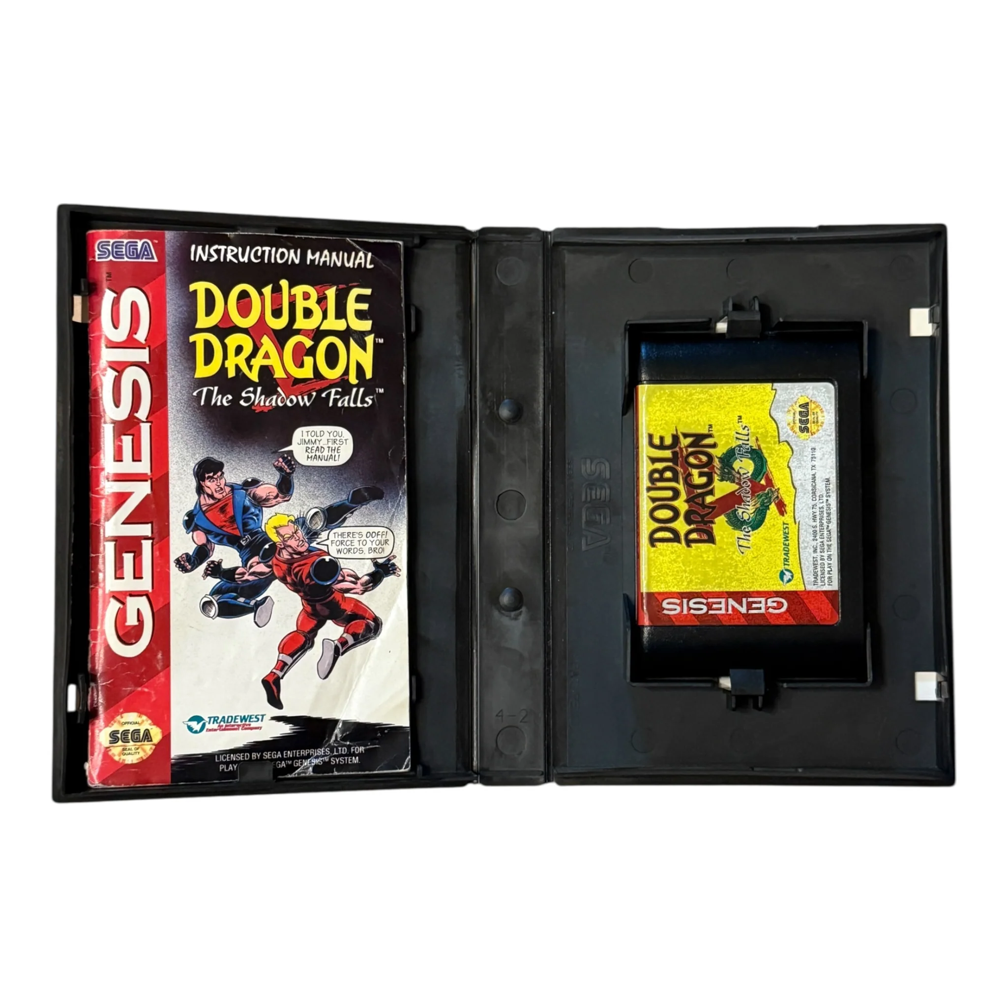 Double Dragon V The Shadow Falls (Genesis) - Image 2